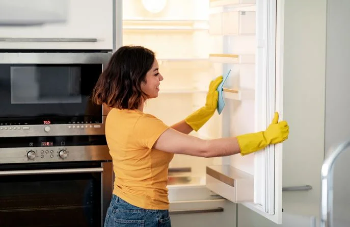 cleaning services in florida