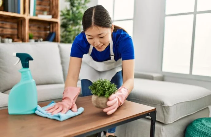maid service near me fair oaks ranch
