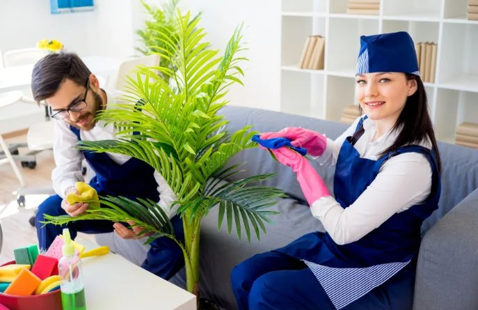 maid service near me hutto tx