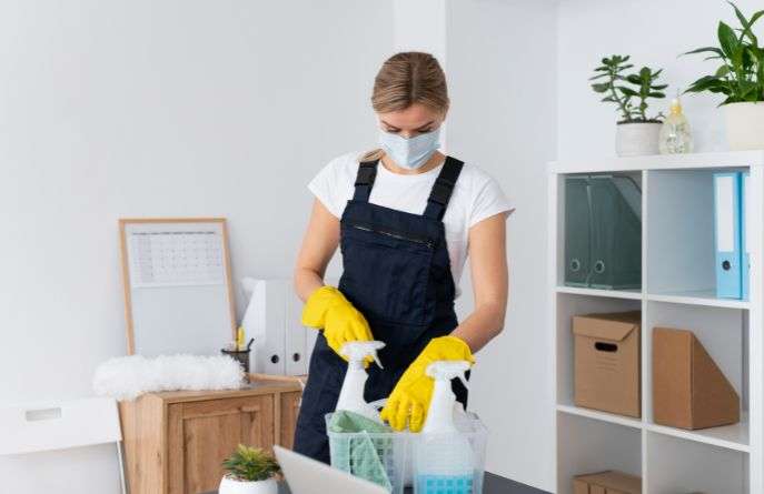 maid service near me oldsmar fl