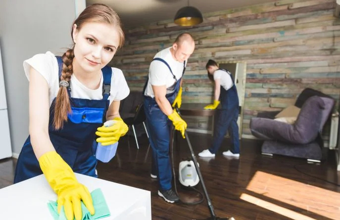 maid service near me pearland tx