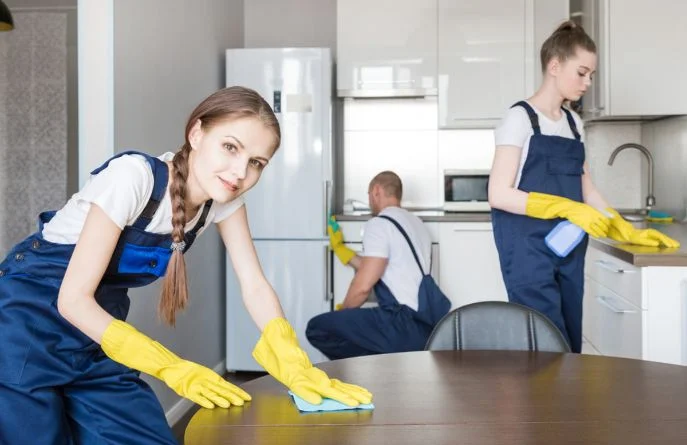 maid service near me pflugerville tx