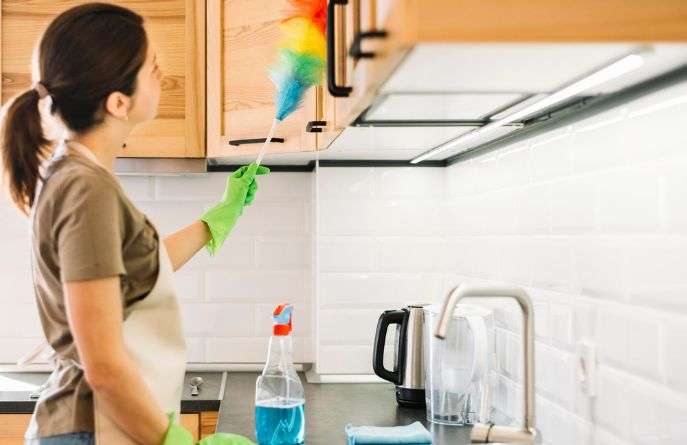 maid service near me pinellas park fl