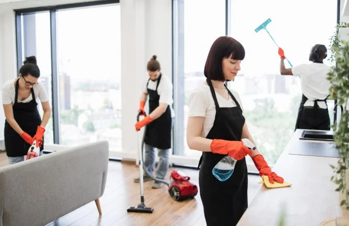 maid service near me terrell hills tx