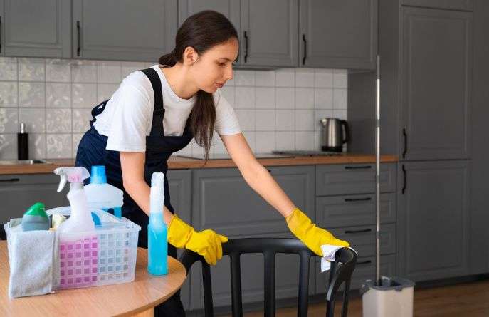 maid service near me tierra verde fl